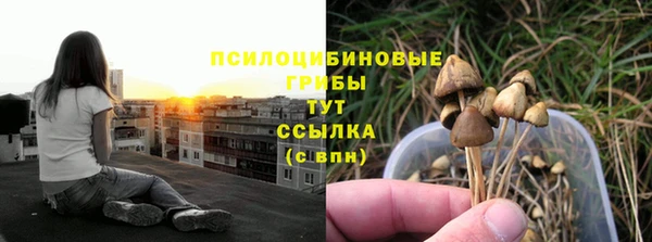прущий лед Горнозаводск