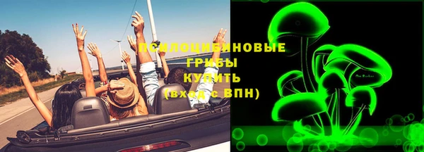 ешки Горно-Алтайск